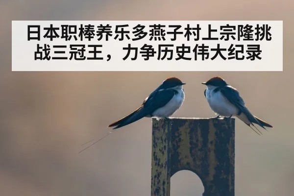 日本职棒养乐多燕子村上宗隆挑战三冠王,力争历史伟大纪录